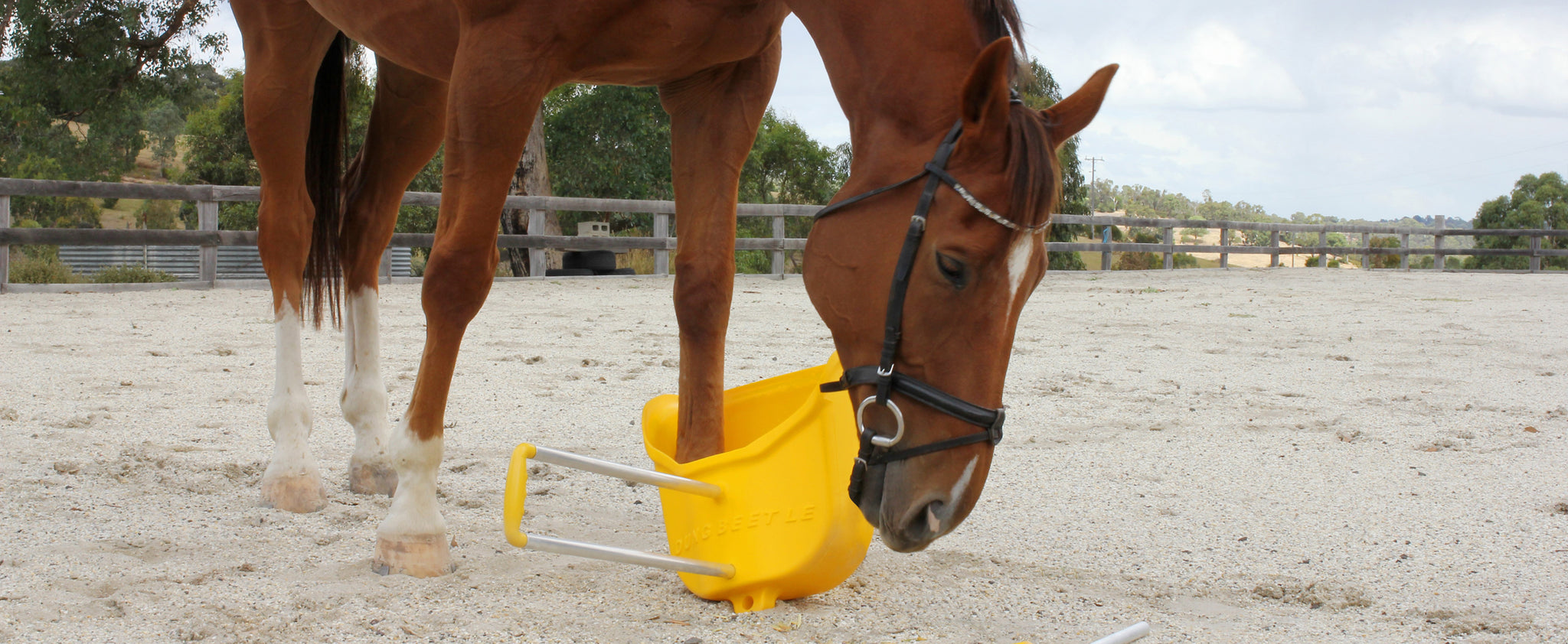 Horse Safety Poo Scoop